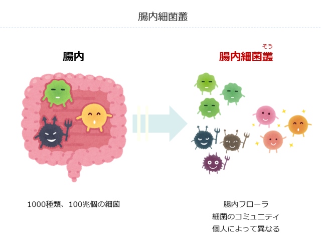 メンタルと腸内細菌叢