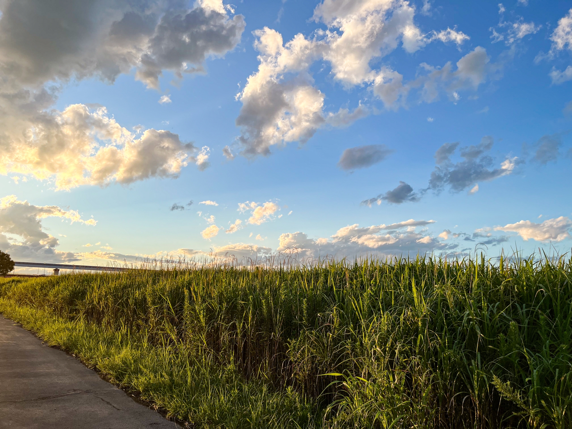 ベスリ・リワーク大阪復職体験記